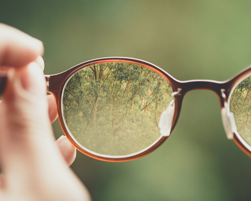Salud visual: la importancia de ver bien