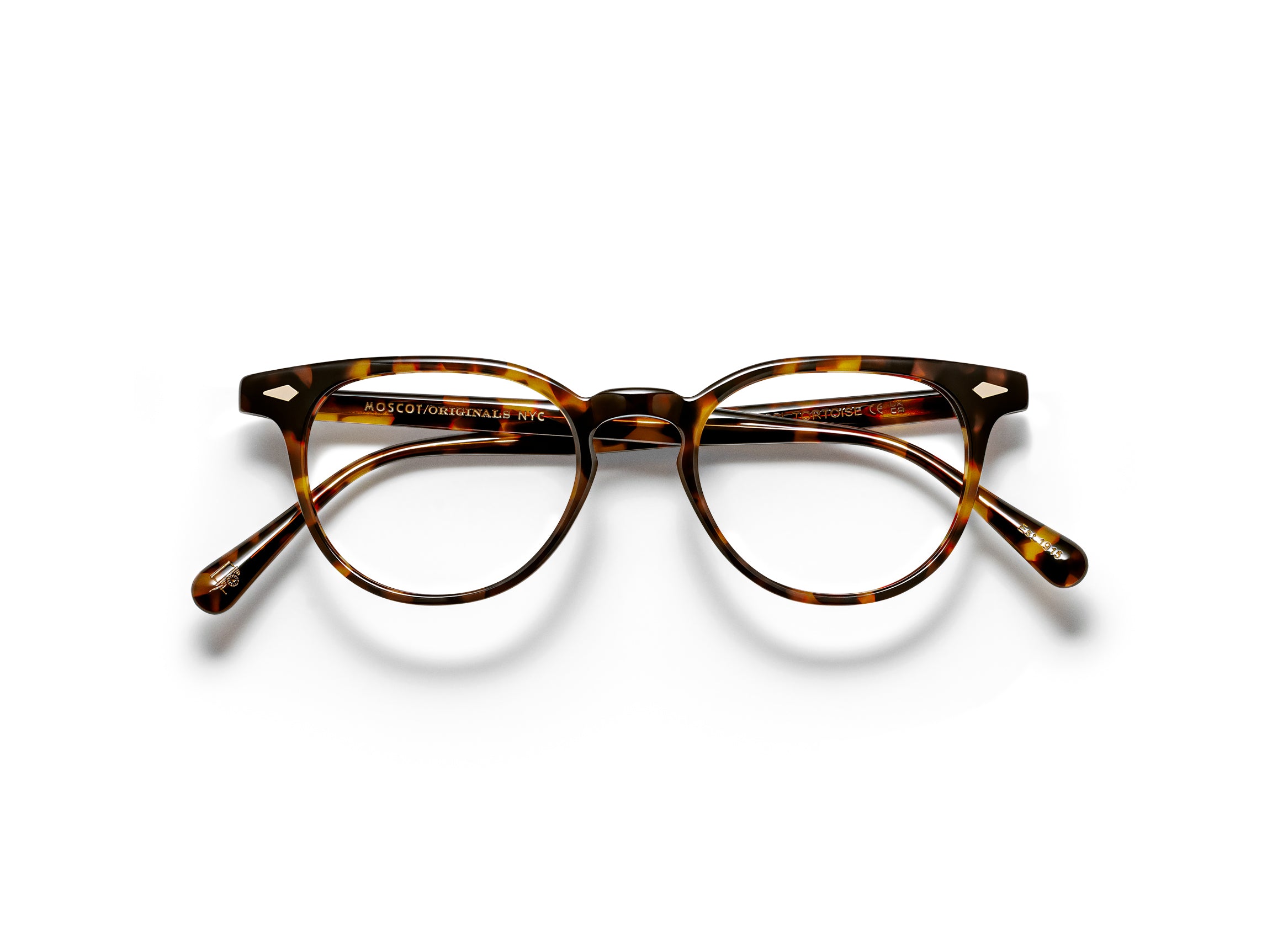 Fevel 49 Tortoise